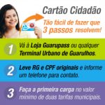 250x250px_cidadao_passoapasso