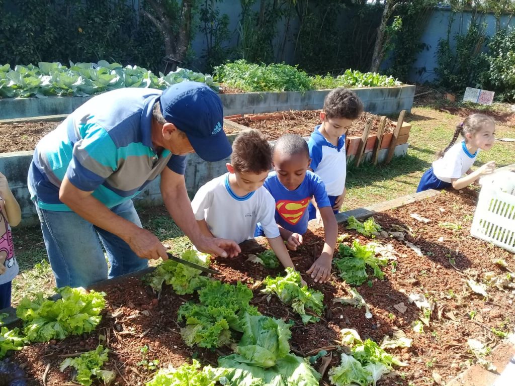 Projeto Sobre Cultivo De Hortas Envolve Alunos Da Epg Monica Aparecida Moredo Jornal Guarulhos