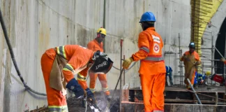 SP registra quase 25 milhões de ocupados em 2025; setor de Serviços e estabelecimentos com menos funcionários lideram contratações
